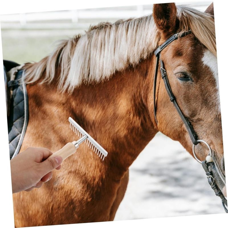 ZooVenture Brosse de nettoyage pour chevaux et vaches