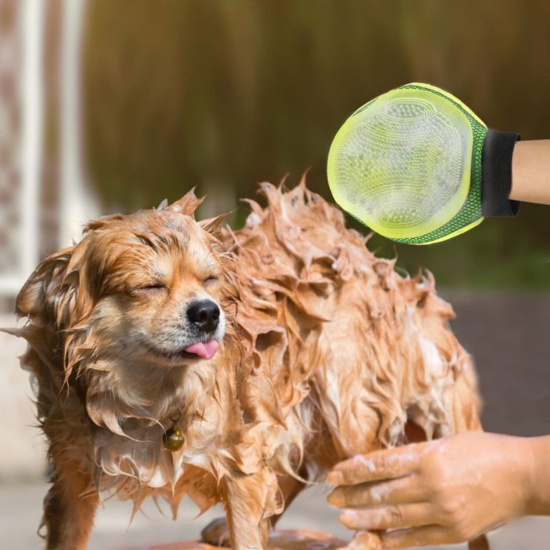 ZooVenture Mitaine de dépoilage pour chiens chats et chevaux
