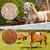 ZooVenture Lot de deux étrilles pour chevaux ZooVenture Lot de deux étrilles pour chevaux