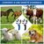 ZooVenture Lot de deux étrilles pour chevaux