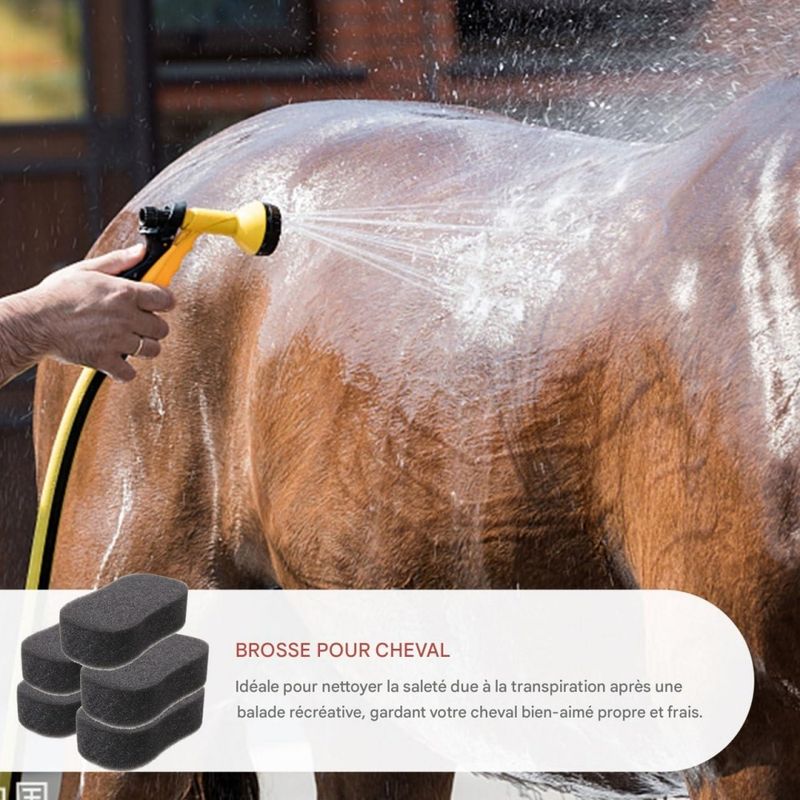 ZooVenture Set de 5 éponges de nettoyage (outils de nettoyage) pour chevaux