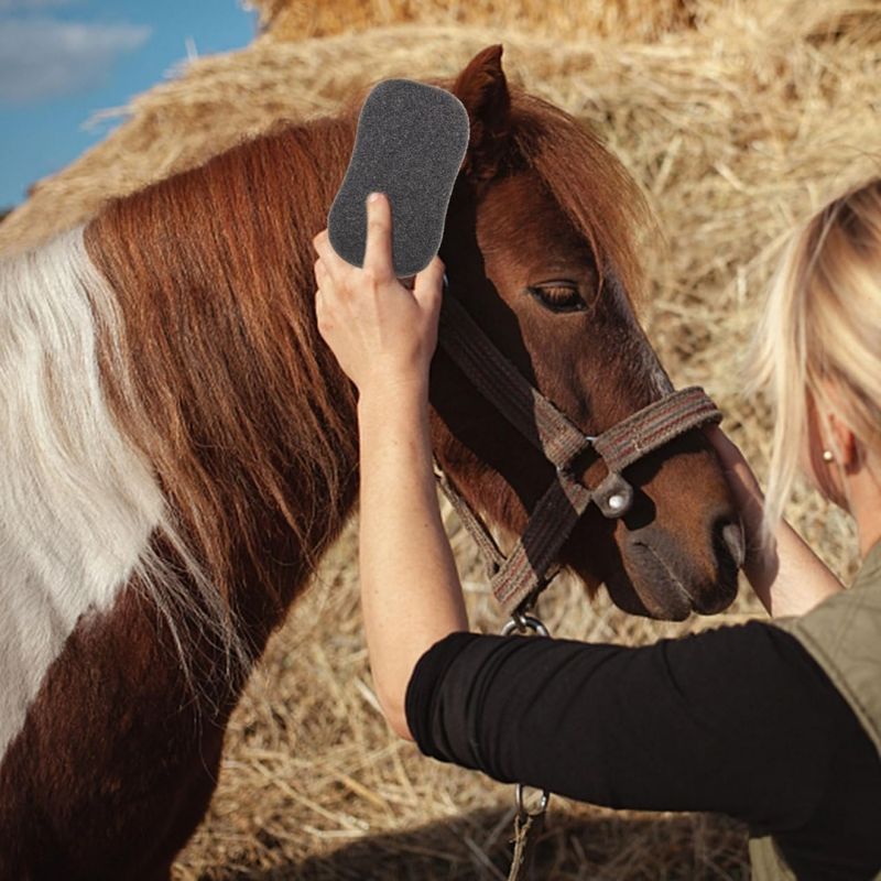 ZooVenture Set de 5 éponges de nettoyage (outils de nettoyage) pour chevaux
