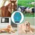 ZooVenture Mitaine de toilettage (outil de nettoyage) pour chevaux ZooVenture Mitaine de toilettage (outil de nettoyage) pour chevaux