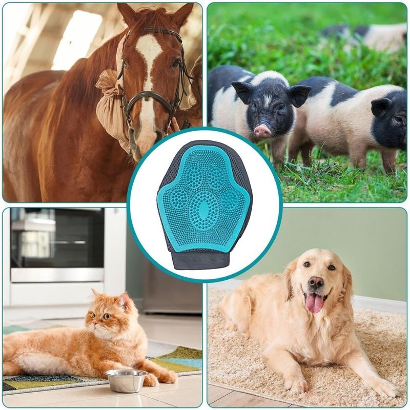 ZooVenture Mitaine de toilettage (outil de nettoyage) pour chevaux