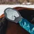 ZooVenture Mitaine de toilettage (outil de nettoyage) pour chevaux ZooVenture Mitaine de toilettage (outil de nettoyage) pour chevaux
