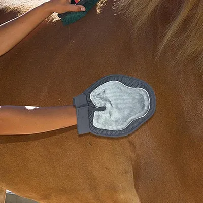 ZooVenture Mitaine de toilettage (outil de nettoyage) pour chevaux ZooVenture Mitaine de toilettage (outil de nettoyage) pour chevaux