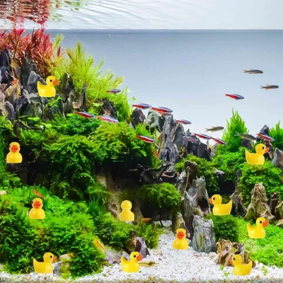ZooVenture Lot 100 Mini Canards Résine Pour Aquarium Jardin