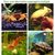 ZooVenture Deux Roches D'Abri Aquarium Pour Animaux Aquatiques Et Betta