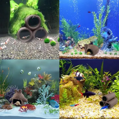 ZooVenture Décorations d'aquarium pour poissons et crevettes