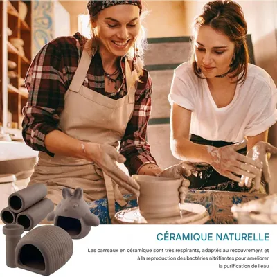 ZooVenture Décorations d'aquarium pour poissons et crevettes