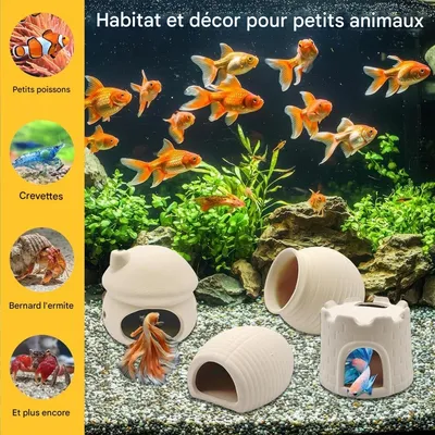 ZooVenture Décorations d'aquarium accessoires pour crevettes et crabes