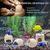 ZooVenture Décorations d'aquarium accessoires pour crevettes et crabes