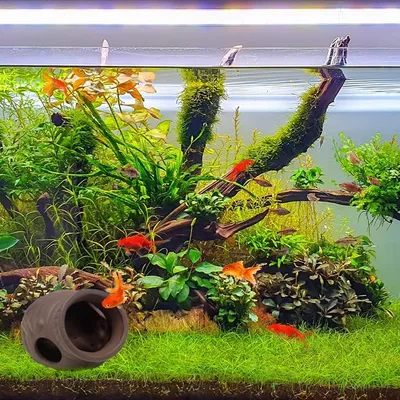 ZooVenture Décorations d'aquarium Cachettes céramiques pour poissons