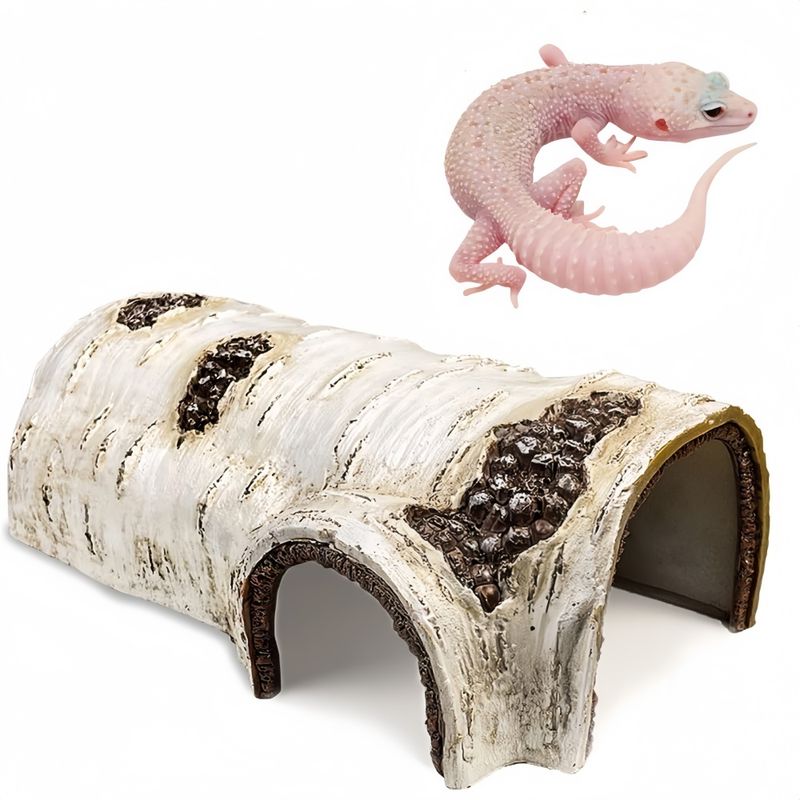 ZooVenture Cachots de simulation pour reptiles et amphibiens
