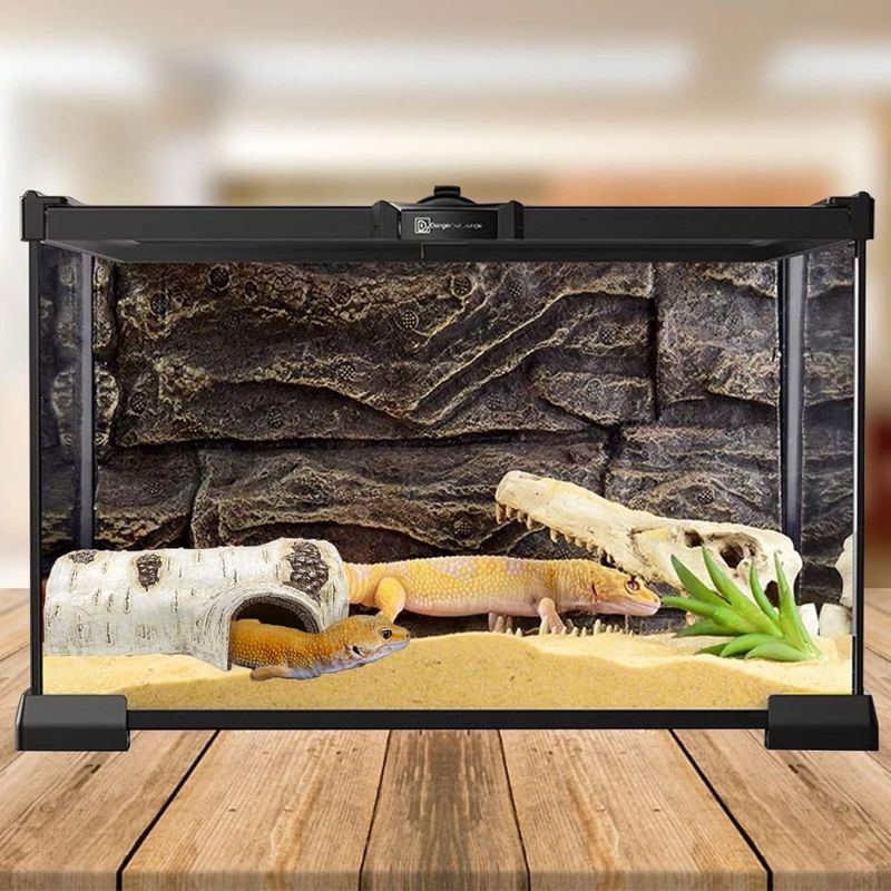 ZooVenture Cachots de simulation pour reptiles et amphibiens