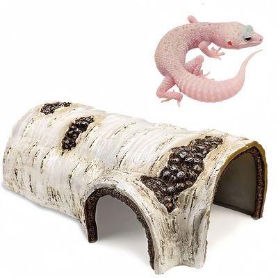ZooVenture Cachots de simulation pour reptiles et amphibiens
