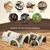 ZooVenture Cachots de simulation pour reptiles et amphibiens