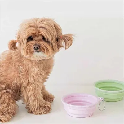 Rocky Gamelles pliables pour chien et chat