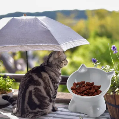 Zoomtopia Gamelle surélevée pour chat