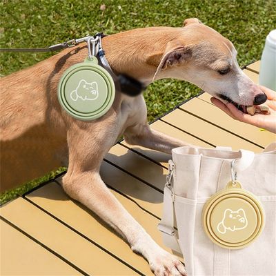 Rocky Gamelles pliables pour chien et chat