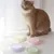 Rocky Gamelles pliables pour chien et chat