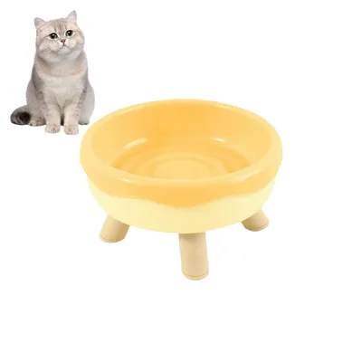 Rocky Bol pour animal de compagnie