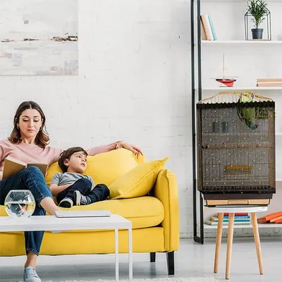 ZooVenture Filet de protection pour oiseaux