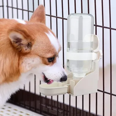 ZooVenture Distributeur Eau Pour Petits Animaux