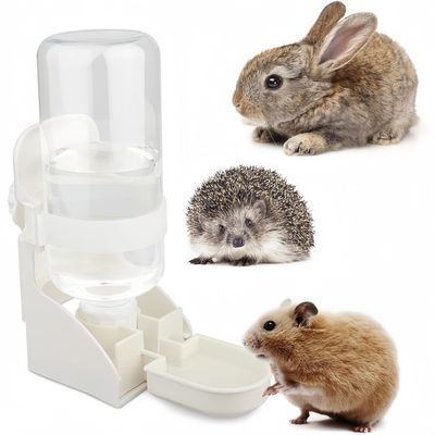 ZooVenture Distributeur Eau Pour Petits Animaux