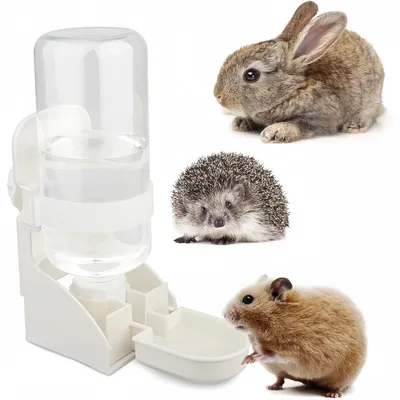 ZooVenture Distributeur Eau Pour Petits Animaux