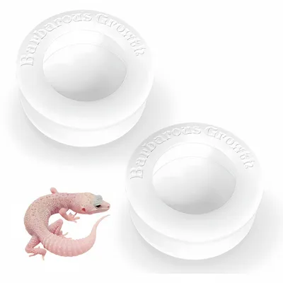 ZooVenture Set de 2 bols d'alimentation pour reptiles ZooVenture Set de 2 bols d'alimentation pour reptiles