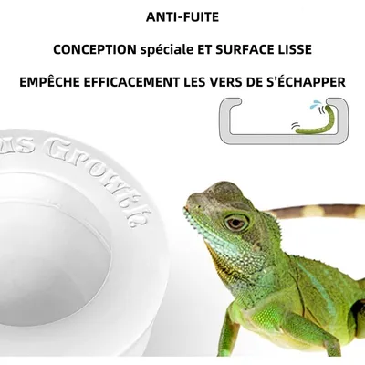 ZooVenture Set de 2 bols d'alimentation pour reptiles