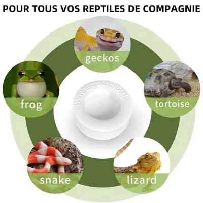 ZooVenture Set de 2 bols d'alimentation pour reptiles