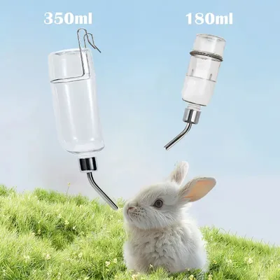 Zoomtopia Fontaine à eau pour animaux
