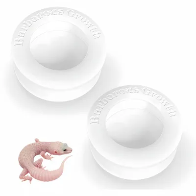 ZooVenture Set de 2 bols d'alimentation pour reptiles ZooVenture Set de 2 bols d'alimentation pour reptiles