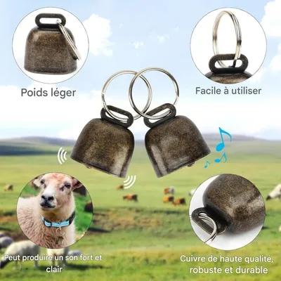 ZooVenture Cinq colliers réfléchissants avec cloches pour chèvres moutons