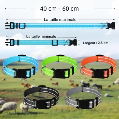 ZooVenture Cinq colliers réfléchissants avec cloches pour chèvres moutons