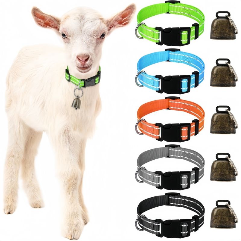 ZooVenture Cinq colliers réfléchissants avec cloches pour chèvres moutons