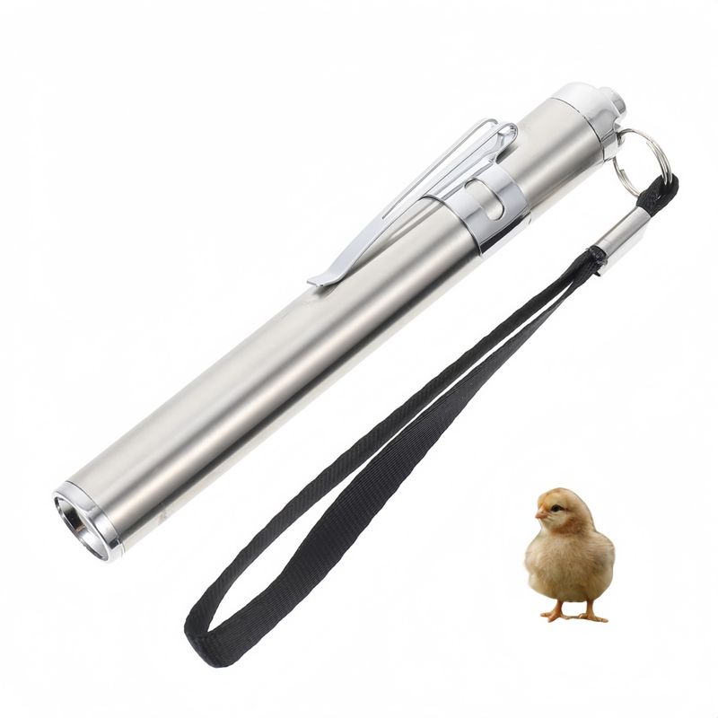 ZooVenture Lampe à mirer les œufs pour oiseaux