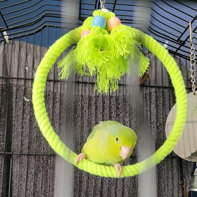 ZooVenture Juguete columpio para pájaros con dos anillos de cuerda algodón