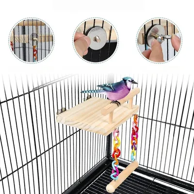 ZooVenture Balançoire en bois pour perroquet