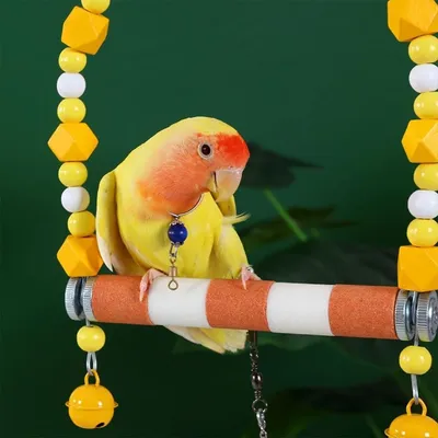 ZooVenture Jouet - balançoire pour oiseaux