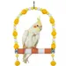 ZooVenture Jouet - balançoire pour oiseaux