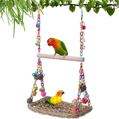 Rocky Balançoire en bois avec perchoir pour oiseaux