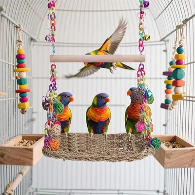 Rocky Balançoire en bois avec perchoir pour oiseaux