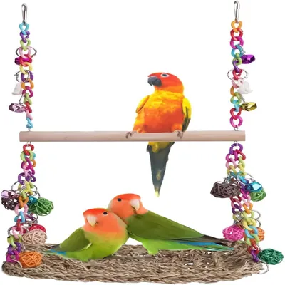 Rocky Balançoire en bois avec perchoir pour oiseaux