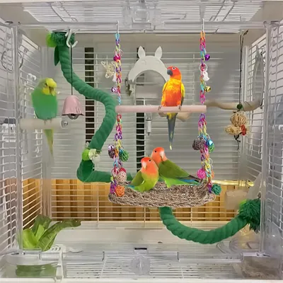 Rocky Balançoire en bois avec perchoir pour oiseaux