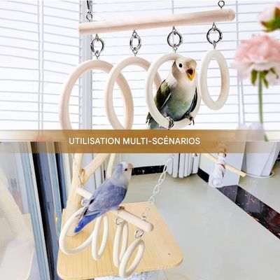 ZooVenture Juguete columpio de aro para pájaros mascota