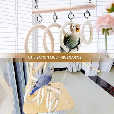 ZooVenture Jouet Balançoire à anneaux pour oiseaux de compagnie