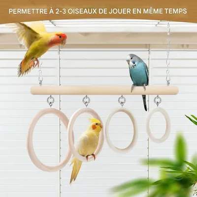 ZooVenture Jouet Balançoire à anneaux pour oiseaux de compagnie